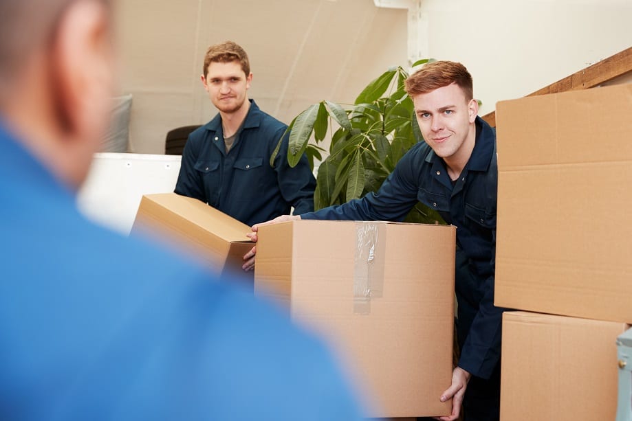 You are currently viewing Employing Family and Friends in My Removal Company